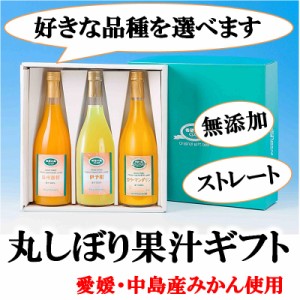 希望の島 丸しぼり果汁 720ml 3本ギフト みかんジュース オレンジジュース 無添加 ストレート 果汁100% 愛媛 中島産