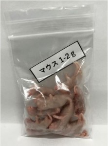 【送料無料・邑楽ファーム・クール便発送】EU産　冷凍マウス　１〜２ｇ　１０匹×4袋セット