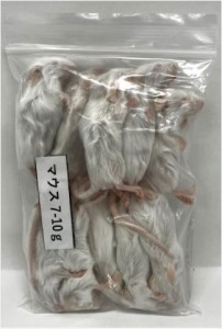 【送料無料・邑楽ファーム・クール便発送】EU産　冷凍マウス　７〜１０ｇ　１０匹×2袋セット