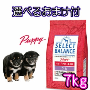 【送料無料・選べるコング製品おまけ付】セレクトバランス　パピー・ラム　子犬 ・ 母犬用（小粒）　７ｋｇ