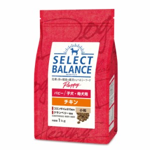 【送料無料】セレクトバランスパピー・チキン子犬 ・ 母犬用　１ｋｇ