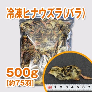 【富城物産・クール便発送】冷凍ヒナウズラ （バラ）500ｇ(約75羽)