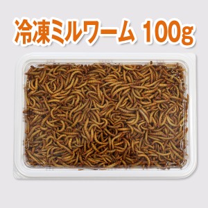 【富城物産・クール便発送】冷凍ミルワーム 100g