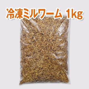 【送料無料】【富城物産・クール便発送】冷凍ミルワーム 1Kg×2袋セット