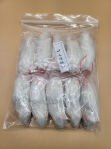 【富城物産・クール便発送】アダルトマウス Lサイズ / 10匹入り