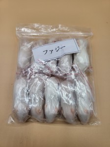 【富城物産・クール便発送】ファジーマウス 通常サイズ / 10匹入り