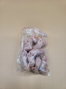 【送料無料】【富城物産・クール便発送】ピンクマウス Mサイズ / 10匹入り×4袋セット