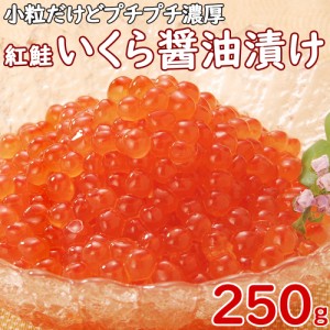 濃厚いくらたっぷり イクラ醤油漬け250g×1pc 国内製造 約3人前 小粒 紅鮭 いくら 海鮮 軍艦 すし 丼 海鮮丼 鮭 紅鮭 贅沢 軍艦巻 寿司 