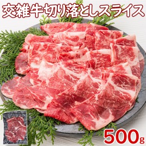 交雑牛 切り落としスライス500g しゃぶしゃぶ すき焼き肉 ギフト BBQ 焼肉用 カット 交雑牛 焼肉 バーベキュー キャンプ飯 極上