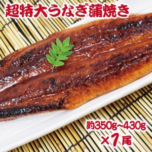 超特大うなぎ蒲焼き1尾セット (1尾あたり350g-430g) 訳あり 特製たれ & 山椒付　訳あり うな丼 うな重 ひつまぶし 土用の丑の日 スタミナ