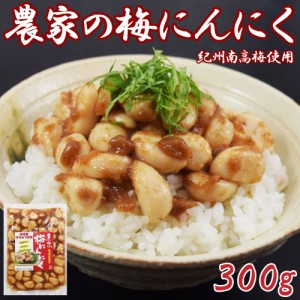 【送料無料】農家の梅にんにく300g×1袋　紀州南高梅　はちみつ使用　におわない　おいしい　スタミナづくりに 美味  大蒜 梅干し 梅酢 