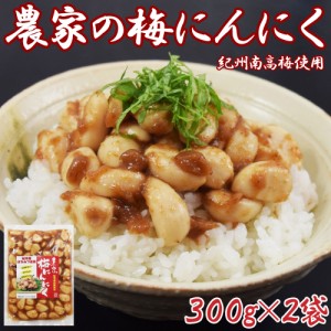 【送料無料】農家の梅にんにく300g×2袋　紀州南高梅　はちみつ使用　におわない　おいしい　スタミナづくりに 美味  大蒜 梅干し 梅酢 