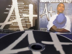 【CD】HEMPSTEAD HIGH(ヘンプステッド・ハイ) / A＋ ※国内盤