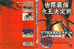 【DVD】世界最強虫王決定戦 クワガタ王トーナメント 熱闘編