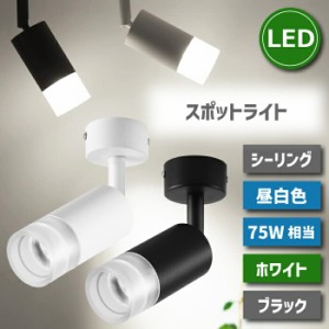 シーリングライト おしゃれ LED スポットライト 10W 75W相当 昼白色 ブラケットライト 直付け 引っ掛けシーリング ライト LED搭載 大光量