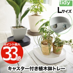 tidy プランタブル L キャスター付 植木鉢トレー 日本製 鉢皿 台 観葉植物 トレイ 水受け 受け皿 らくらく移動 可動式 小物 園芸用品 プ