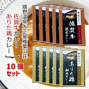 【送料無料】 お得な大正屋椎葉山荘監修 佐賀牛カレー ありた鶏カレー 10個セット 中辛 カレーライス ビーフ 鶏肉 レトルト 和風 欧風 ビ