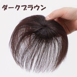 白髪 80 ヘアピースの通販｜au PAY マーケット