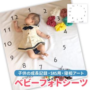 赤ちゃん 月齢 フォトの通販 Au Pay マーケット