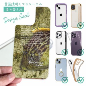 スマホケース 着せ替え シート インナーシート スマホカバー 背面 透明 クリア オリジナル デザイン 釣り 魚 ルアー カワハギ