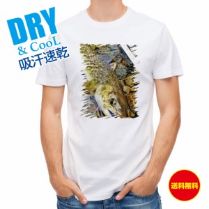 釣り Tシャツ アウトドア ネイティブトラウト 釣り 魚 ルアー T シャツ メンズ 半袖 ロゴ 文字 春 夏 秋 インナー 安い  面白い 大きいサ