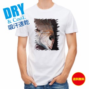 釣り Tシャツ アウトドア マダイ 釣り 魚 ルアー T シャツ メンズ 半袖 ロゴ 文字 春 夏 秋 インナー 安い  面白い 大きいサイズ 洗濯 ポ