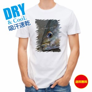 釣り Tシャツ アウトドア イサキ 釣り 魚 ルアー T シャツ メンズ 半袖 ロゴ 文字 春 夏 秋 インナー 安い  面白い 大きいサイズ 洗濯 ポ