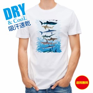 釣り Tシャツ アウトドア サメ・シャーク・鮫 鮫の種類 釣り 魚 ルアー T シャツ メンズ 半袖 ロゴ 文字 春 夏 秋 インナー 安い  面白い