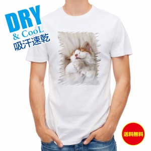 かわいい Tシャツ 昼寝する猫 ネコ ねこ 雑貨 T シャツ レディース 半袖 ロゴ 文字 春 夏 秋 インナー 安い 面白い 大きいサイズ 洗濯 ポ