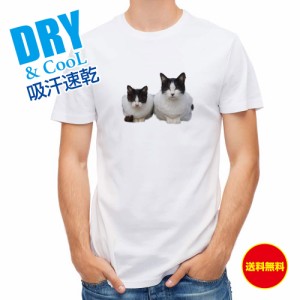 かわいい Tシャツ シロクロ二匹 ネコ 猫 ねこ 雑貨 かわいい T シャツ メンズ 半袖 ロゴ 文字 春 夏 秋 インナー 安い 面白い 大きいサイ