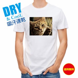 かわいい Tシャツ ビンテージな猫 ネコ 猫 ねこ 雑貨 かわいい T シャツ メンズ 半袖 ロゴ 文字 春 夏 秋 インナー 安い 面白い 大きいサ