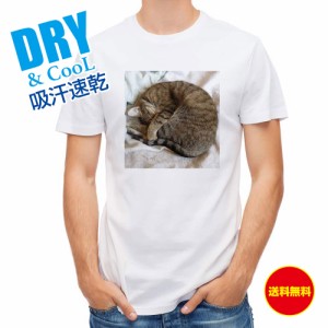 かわいい Tシャツ ニャンモナイト 猫 ネコ ねこ 雑貨 かわいい T シャツ メンズ 半袖 ロゴ 文字 春 夏 秋 インナー 安い 面白い 大きいサ