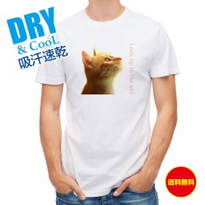 かわいい Tシャツ 天を仰ぐ猫 猫 ネコ ねこ 雑貨 かわいい T シャツ メンズ 半袖 ロゴ 文字 春 夏 秋 インナー 安い 面白い 大きいサイズ