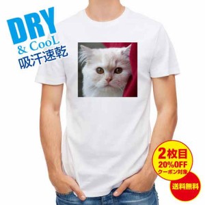 かわいい Tシャツ 猫のアップ 猫 ネコ ねこ 雑貨 かわいい T シャツ メンズ 半袖 ロゴ 文字 春 夏 秋 インナー 安い 面白い 大きいサイズ