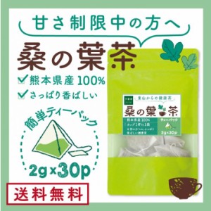 桑の葉茶 ティーパック 2g×30 国産 桑茶 効能 青汁 くわ茶 糖質 無農薬 栽培 熊本県産 カフェインレス 送料無料　