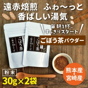 ごぼう茶 30g×2袋 パウダー 送料無料 粉末 ゴボウ