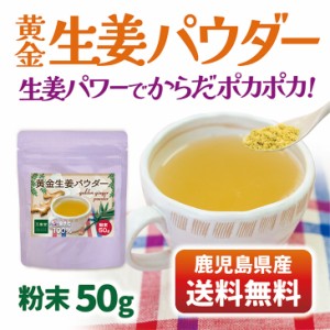 生姜 パウダー 送料無料 ジンジャー 粉末 国産 50g 国産 鹿児島県産 ショウガ しょうが