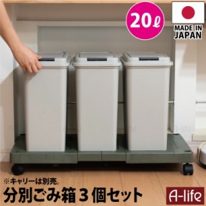 ゴミ箱 20L 3個 日本製 JAPAN フタ付き キッチン 分別 スリム 分別ごみ箱 35リットル リサイクル リサイクル