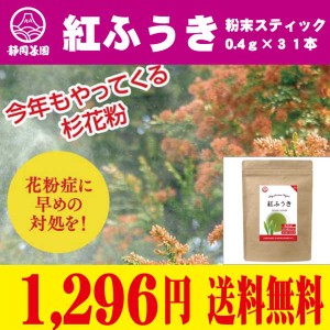 べにふうき 粉末 送料無料 0.4ｇ×31本 花粉症 予防 国産