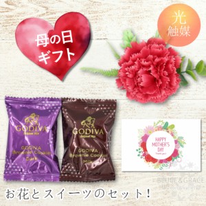 母の日 ギフト 花とスイーツのセット GODIVA ゴディバ ブラウニー カーネーション 光触媒 プレゼント