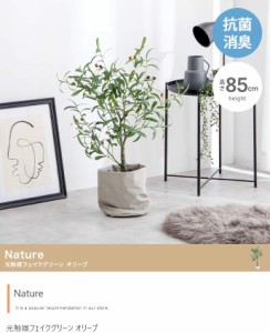 光触媒人工観葉植物 オリーブ 【高さ85cm】Nature 