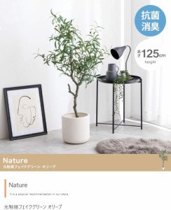 光触媒人工観葉植物 オリーブ 【高さ125cm】Nature 