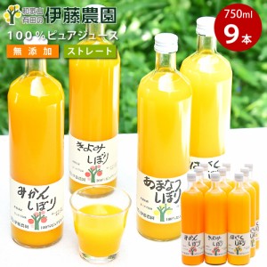 ギフト ジュース みかんジュース ストレート 750ml 9本 和歌山 国産 無添加 果汁100% 飲み比べ みかんしぼり 伊藤農園 ジュース 大瓶 ギ