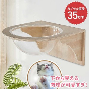 キャットウォーク 壁 足場 棚板 クリア キャットステップ 猫用 壁取り付け 壁面用 キャットタワークリアステップ キャット ステップ キャ