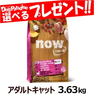 ナウ フレッシュ  アダルトキャット3.63kg NOW FRESH  猫 キャットフード グレインフリー フレッシュミート 成猫 ドライフード