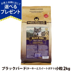 【店内全品送料無料】ウルフブラット スモールブリード ブラックバード （ターキーとスイートポテト）2kg 小粒 成犬 穀物不使用 グレイン