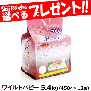 【店内全品送料無料】ウィッシュ ワイルドパピー5.4kg| ドッグフード ドックフードフード 犬 成犬 アダルト 子犬 グレインフリー 穀物フ