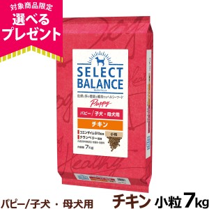 【順次、原材料等の表記変更】【店内全品送料無料】セレクトバランス パピー チキン小粒7kg 