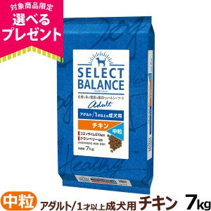 【順次、原材料等の表記変更】【店内全品送料無料】セレクトバランス アダルト チキン中粒7kg 