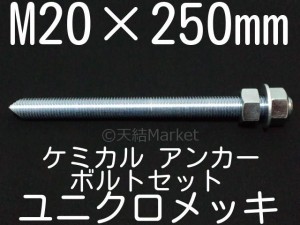 ケミカルボルト アンカーボルト ユニクロメッキ M20×250mm 寸切ボルト1本 ナット2個 ワッシャー1個 Vカット 両面カット「取寄せ品」